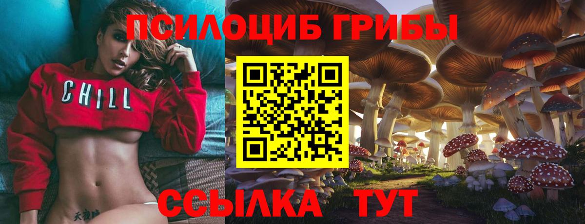 Лосино-Петровский  Псилоцибиновые грибы Psilocybine cubensis  Вход с VPN  Псилоцибиновые грибы Psilocybine cubensis 
