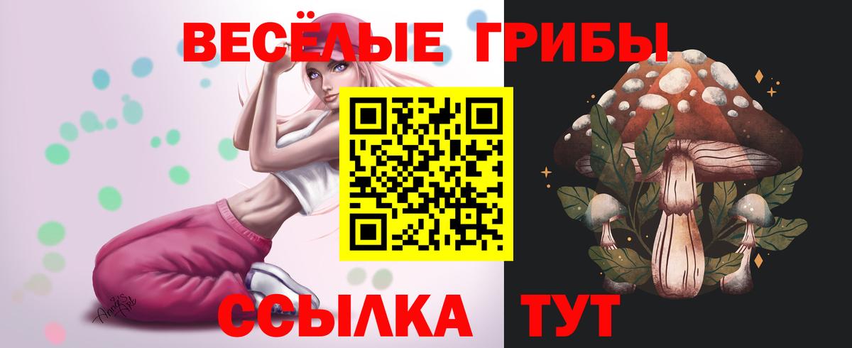Галлюциногенные грибы Psilocybine cubensis Лосино-Петровский